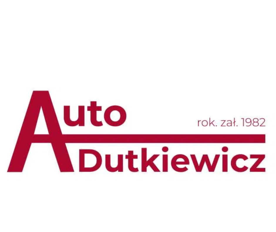 Naprawy mechaniczne i blacharskie, przeglądy rejestracyjne, Jarocin, 43 lata doświadczenia indywidualne podejście wykwalifikowani pracownicy